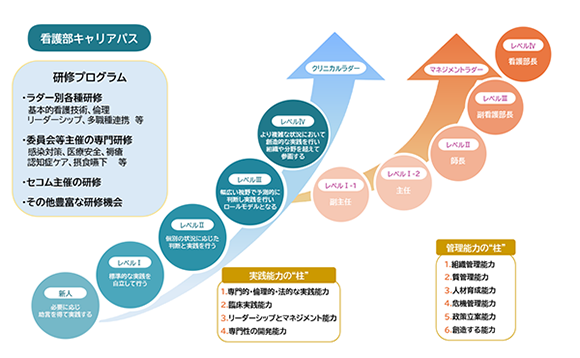 看護部キャリアパス